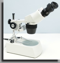 Stereomicroscope