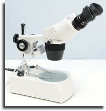 wpff6852b0_02.jpg