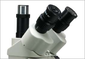 microscope